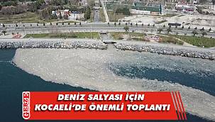 Deniz salyası için ortak eylem planı açıklanacak