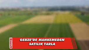 Gebze’de 5 bin 242 metrekare tarla mahkemeden satılık