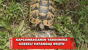 Gebze’de bir vatandaş, bitkin kaplumbağaya su içirdi