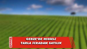 Gebze’de hisseli tarla icradan satılık
