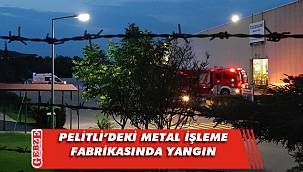 Gebze'de metal işleme fabrikasında yangın