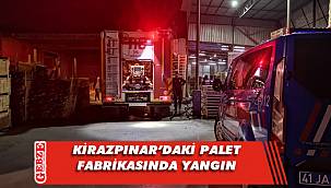 Gebze'deki palet fabrikasında yangın