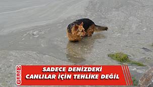 Gebze'deki temizlik çalışmasında üzen görüntü