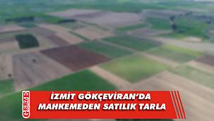 Gökçeviran'da mahkemeden satılık tarla