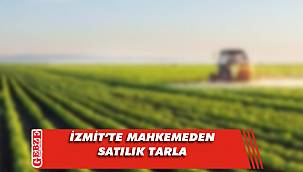 İzmit’te mahkemeden satılık tarla