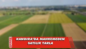 Kandıra’da mahkemeden satılık tarla