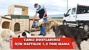 Kocaeli'nde canlı dostlarımız unutulmuyor