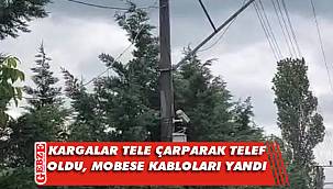 Muallimköy'de MOBESE kabloları yandı