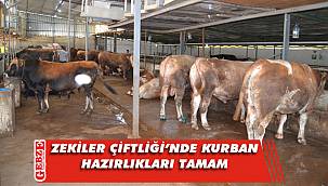 Zekiler Et-Süt ve Besi Çiftliği, Kurban Bayramı'na hazır