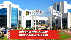 Büyükşehir, ahşap direk satın alacak