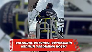 Büyükşehir ekipleri yavru kedinin imdadına yetişti