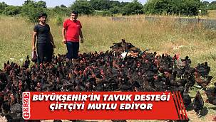 Büyükşehir'in tavuk desteği çiftçileri mutlu ediyor