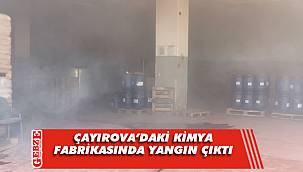 Çayırova'daki kimya fabrikasında çıkan yangın söndürüldü