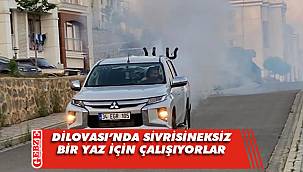 Dilovası Belediyesi, sivrisinek ve haşerelere savaş açtı 