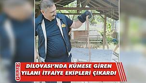 Dilovası'nda itfaiyeden yılan operasyonu