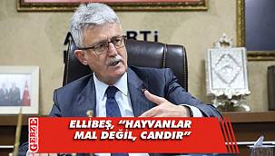Ellibeş, hayvanlara yönelik kanun teklifini değerlendirdi