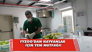 FYZoo’dan 10 yıllık master planı