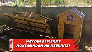 Gebze’de beslenme noktaları tahrip edildi