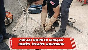 Gebze'de yavru kediyi itfaiye kurtardı