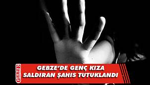 Gebze'deki iğrenç olayda tutuklama geldi