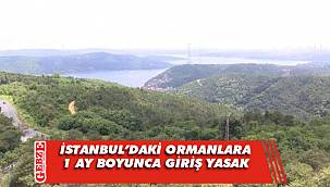 İstanbul'daki ormanlara 1 ay boyunca girişler yasaklandı