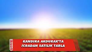 Kandıra Akdurak’ta icradan satılık tarla 