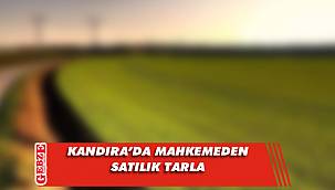 Kandıra’da 6 bin 85 metrekare tarla mahkemeden satılık
