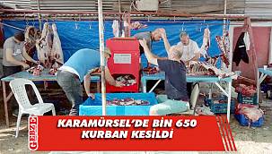 Karamürsel'de bin 650 kurban kesildi