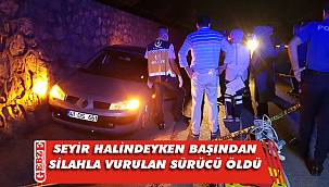 Kartepe'de silahlı saldırıya uğrayan sürücü öldü