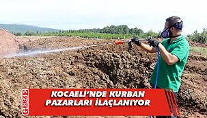 Kent genelinde kurban pazarları ilaçlanıyor