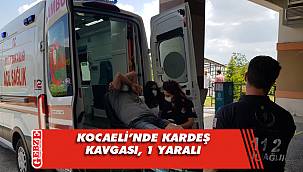 Kocaeli'nde kardeş kavgası