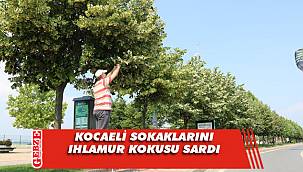 Kocaeli sokaklarını ıhlamur kokusu sardı