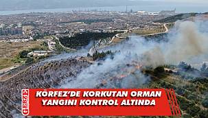 Körfez’deki orman yangını kontrol altına alındı