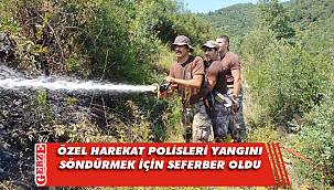 Körfez'deki yangında 20 dönüm alan zarar gördü