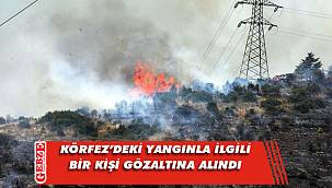 Orman yangınıyla ilgili soruşturma sürüyor