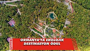 Ormanya'ya uluslararası ödül