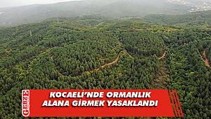 Vali Yavuz'dan açıklama geldi