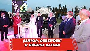 Vasfiye Aydın'ın kızı dünya evine girdi