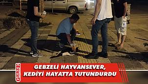 Veterinerin tarifiyle kediyi hayata tutundurdu