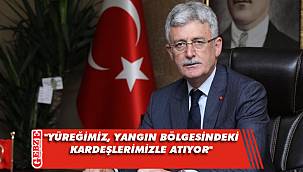 AK Partili Ellibeş'ten yangınlara ilişkin açıklama