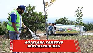  Büyükşehir 12 ilçede birden ağaçları suluyor