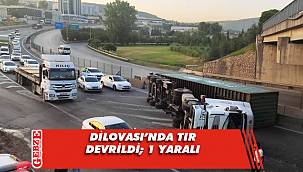  Dilovası'nda devrilen tırın sürücüsü yaralandı