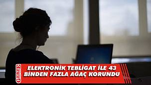 Elektronik tebligat ile 43 binden fazla ağaç korundu
