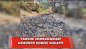 Eskihisar’da yangın sonrasında kahreden görüntü