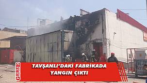 Gebze'deki boya kimyasalları fabrikasında yangın