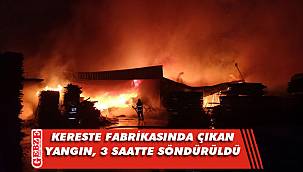 Gebze'deki kereste fabrikasında yangın çıktı
