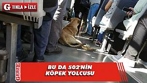 Gebze'deki otobüste gülümseten görüntü