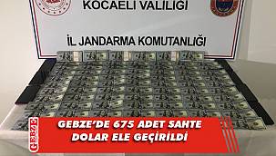 Jandarmadan Gebze'de sahte dolar operasyonu
