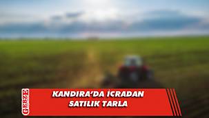 Kandıra’da icradan satılık tarla