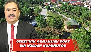 Kaymakam Güler, ormanlardaki tedbirler hakkında konuştu